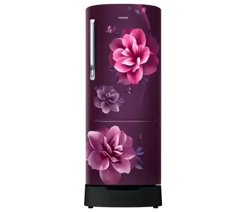 SAMSUNG 223 L Direct