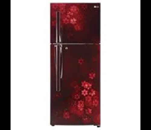 LG 240 Litres 2 Star Frost Free Double Door 