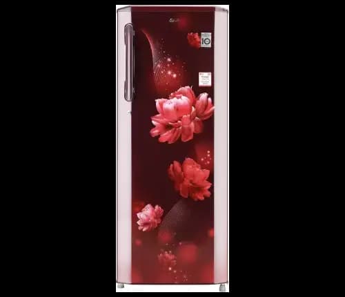 LG 261 L Direct Cool