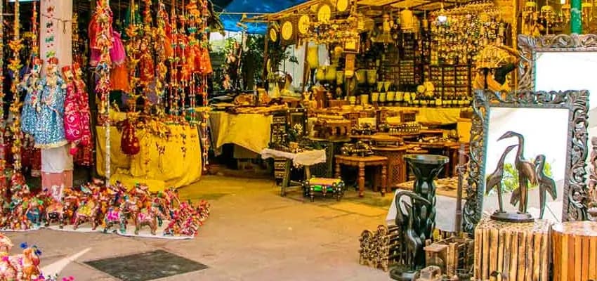 <h2>Dilli Haat </h2> image 1